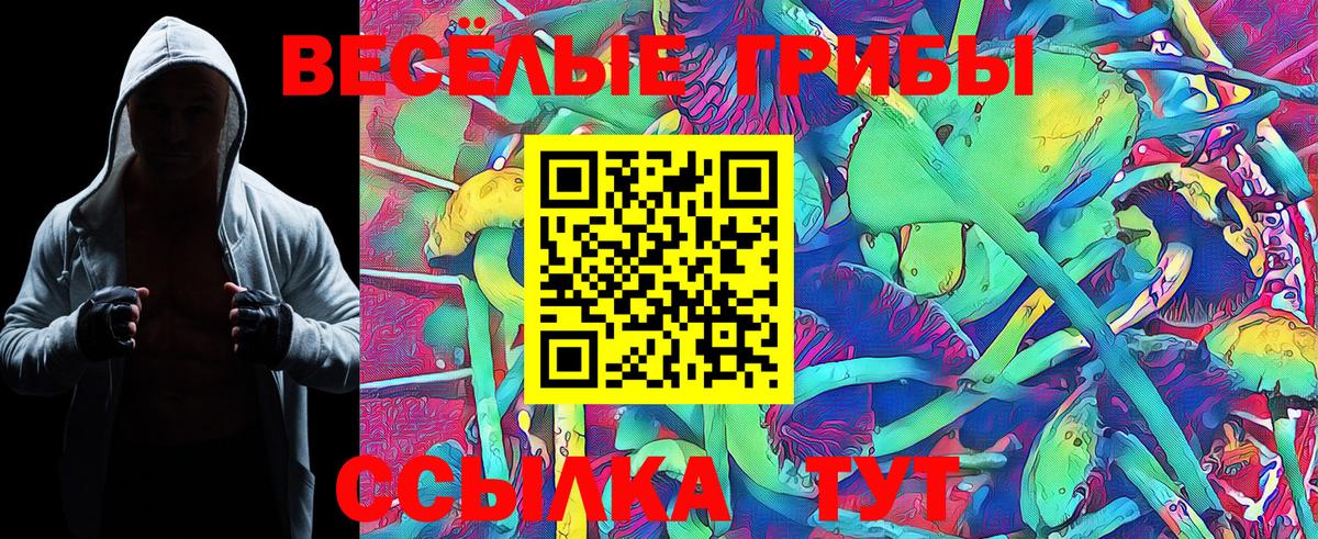 Галлюциногенные грибы Magic Shrooms Симферополь