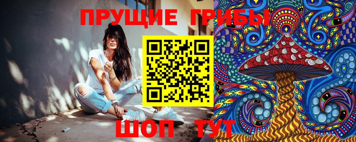 Симферополь  Галлюциногенные грибы Cubensis  Вход с VPN 